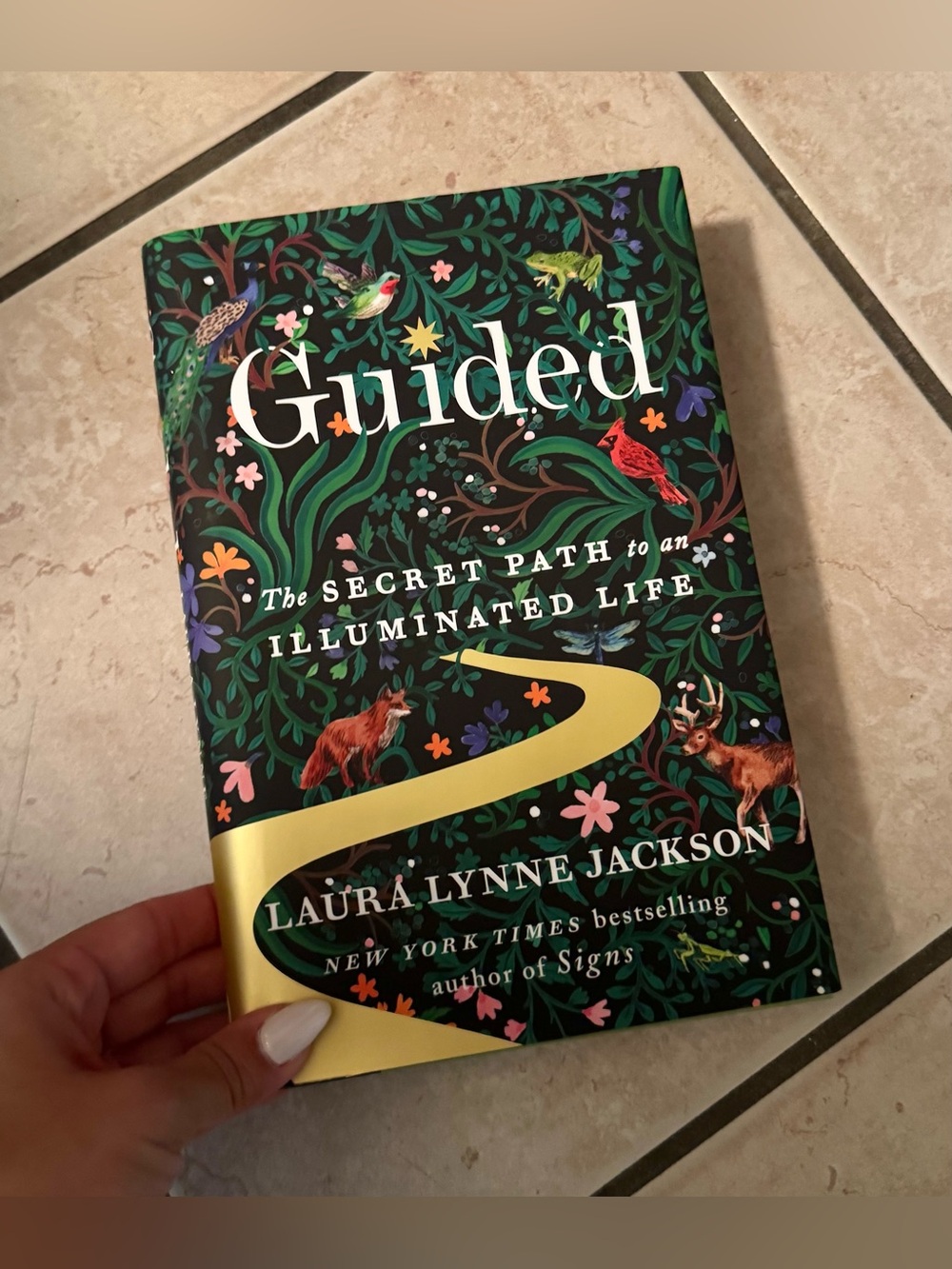 Guided: The Secret Path to an Illuminated Life (The Path of Light Series)